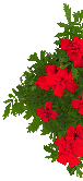 Blrot