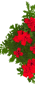 Blrot
